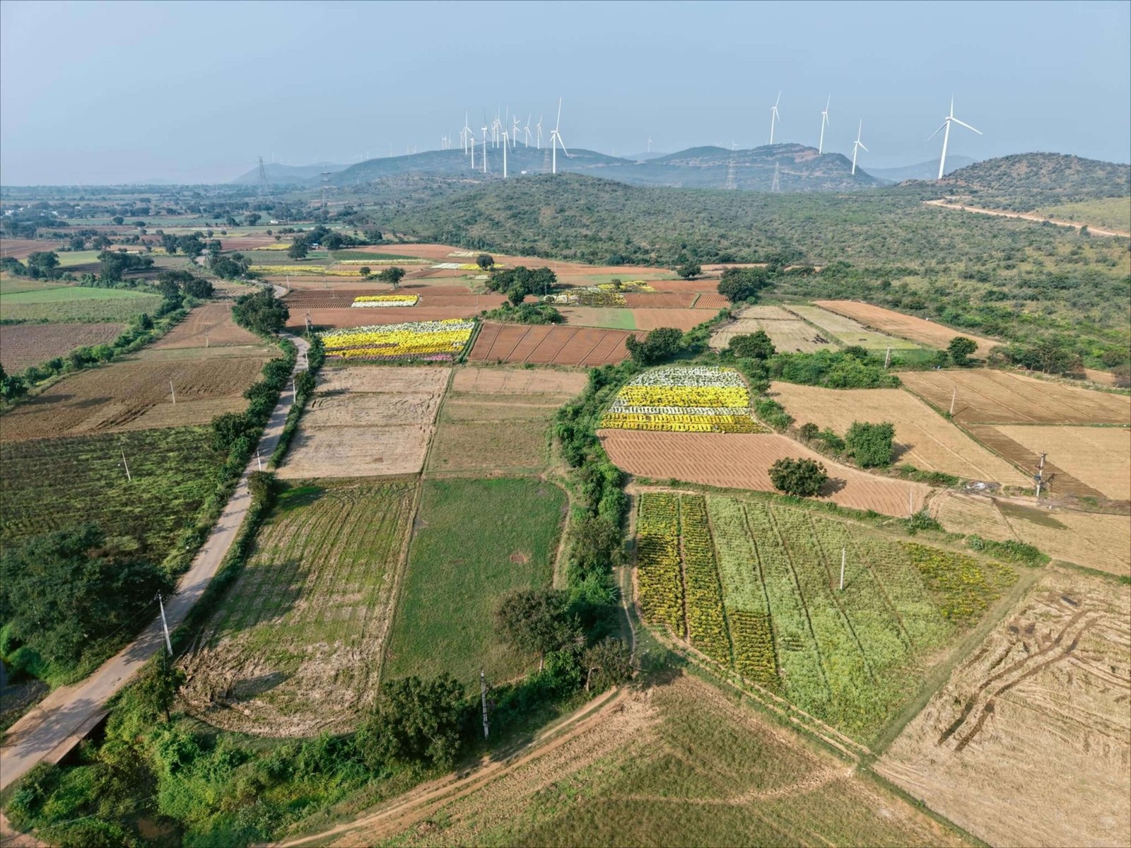 Solar Site Sourcing