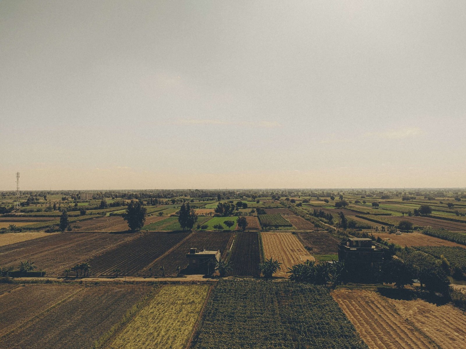 Land Lords Strategic Verticals